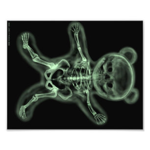 X-ray skeleton of a Teddy  bear pop art poster