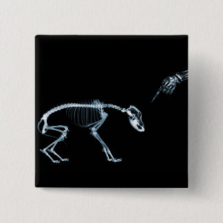 X-Ray Skeletons Bad Dog Blue 2 Inch Square Button