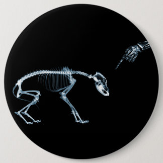 X-Ray Skeletons Blue Bad Dog 6 Inch Round Button