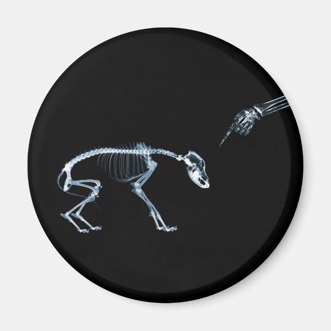 X-Ray Skeletons Blue Bad Dog Magnet (Front)