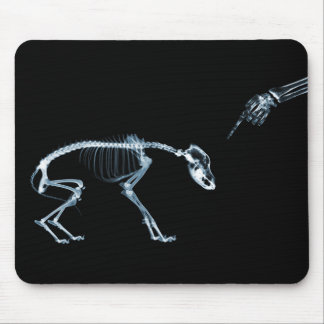 X-Ray Skeletons Blue Bad Dog Mouse Pad