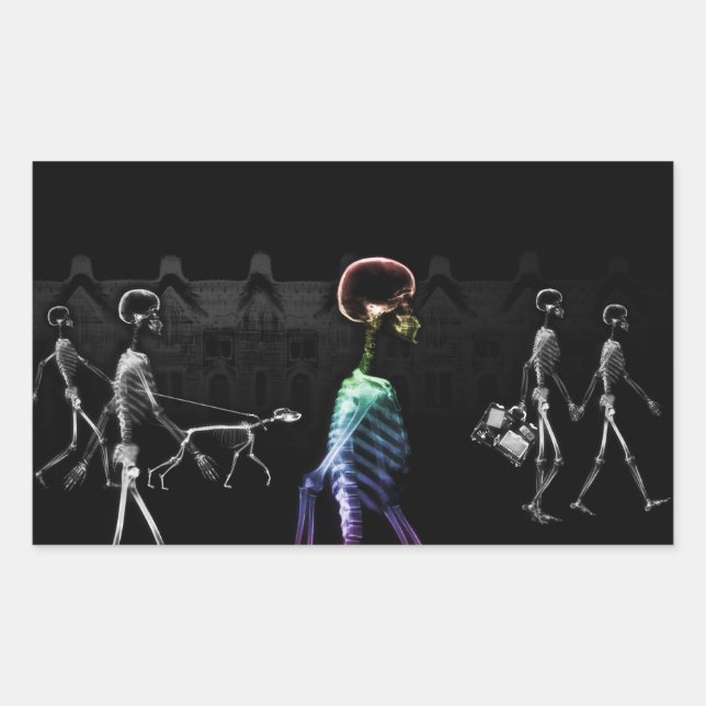 X-Ray Skeletons Midnight Stroll - B&W & Rainbow Sticker (Front)