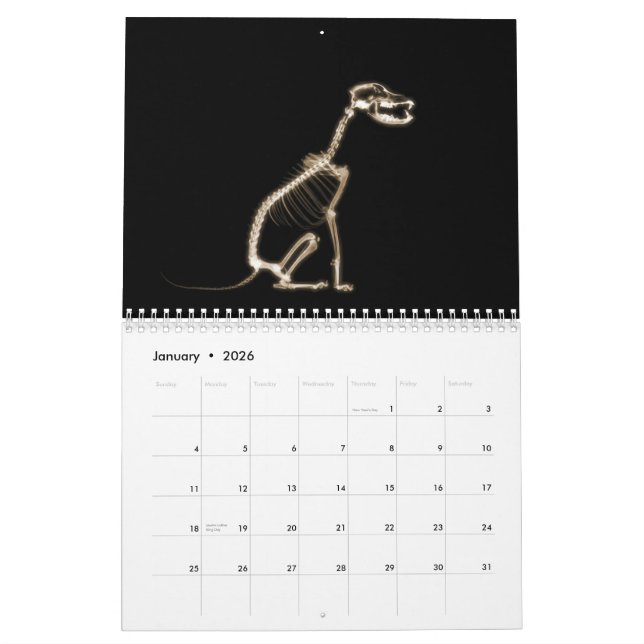 X-Ray Skeletons Midnight Stroll Black Sepia Calendar (Jan 2026)