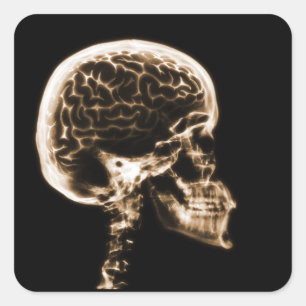 X-RAY SKULL BRAIN - ORANGE SQUARE STICKER