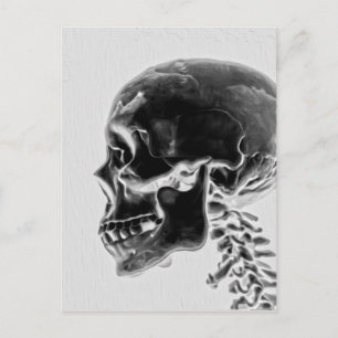 X-Ray Skull Postcard