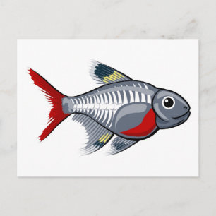 X-ray tetra cartoon fish postcard
