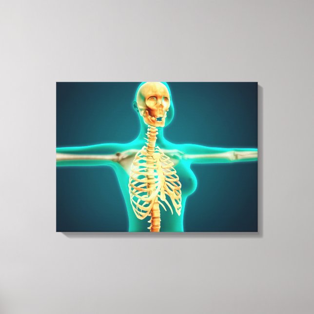 X-Ray View Of Female Upper Body Showing Rib Cage Canvas Print (Front)