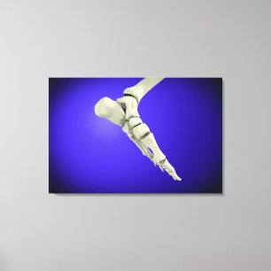 X-Ray View Of Human Foot 2 Canvas Print