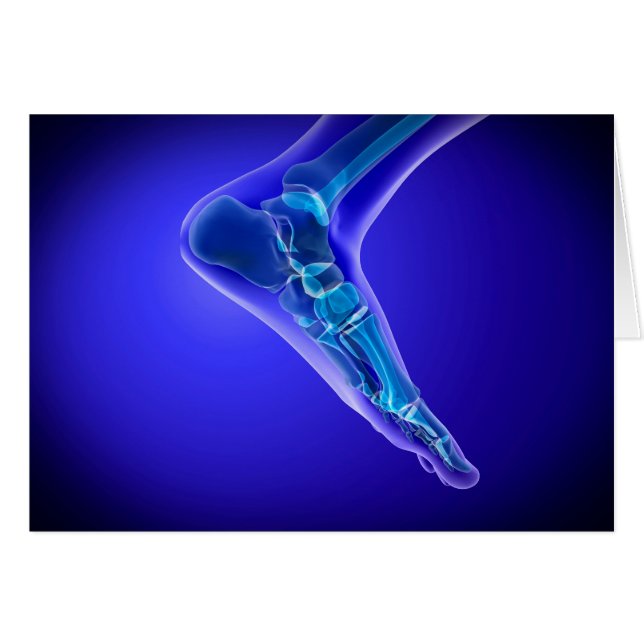 X-Ray View Of Human Foot 3 (Front Horizontal)