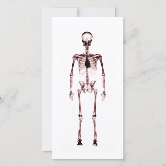X-Ray Vision Single Skeleton White Red (Front)