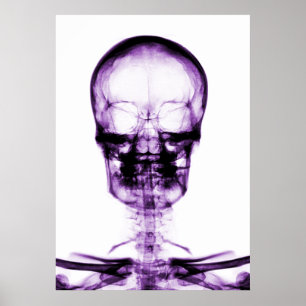 X-RAY VISION SKELETON SKULL - PURPLE POSTER