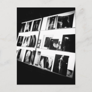 X-Rays Postcard