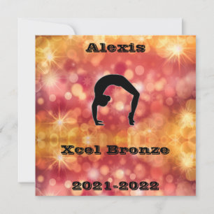 Xcel Bronze Gymnastics