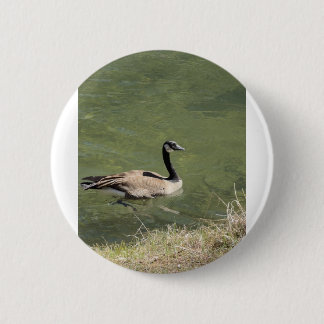 xcvdvdf 2 inch round button