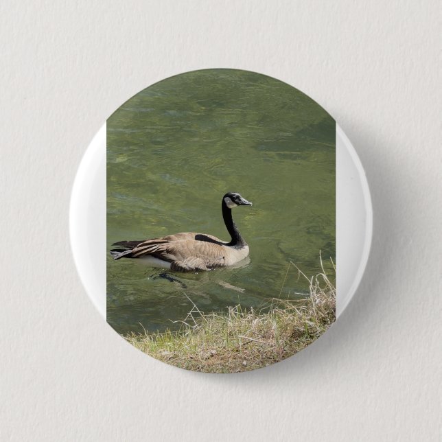 xcvdvdf 2 inch round button (Front)