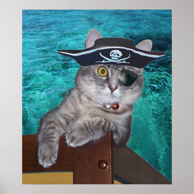 Xena as Pirate poster (Front)