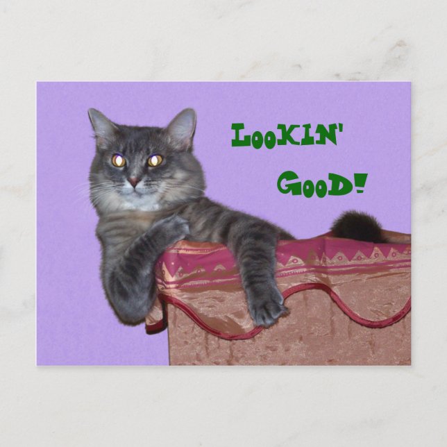 Xena Chillin' Postcard - Customized (Front)
