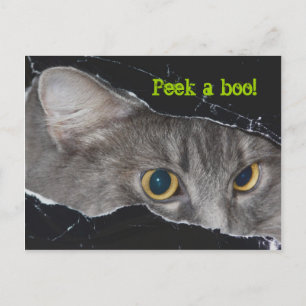 Xena peek-a-boo Postcard - Customized