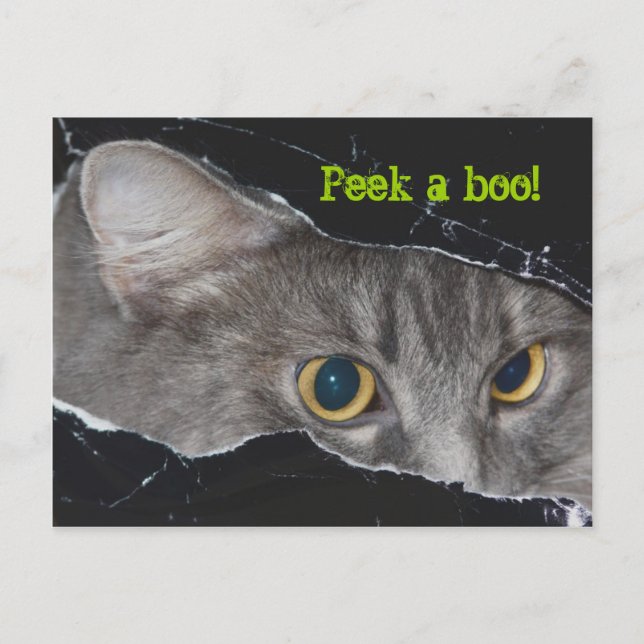 Xena peek-a-boo Postcard - Customized (Front)