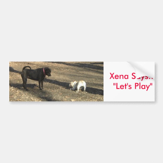 xenaplay, Xena Says..."Let's Play" Bumper Sticker (Front)