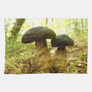 Xerocomus pruinatus Serviette de thé aux champigno