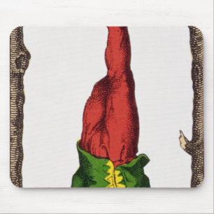 XII The Hanged Man, tarot card Mouse Pad