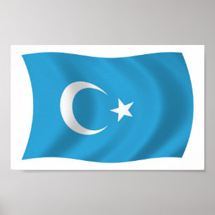 Xinjianj Uigur Flag Poster Print