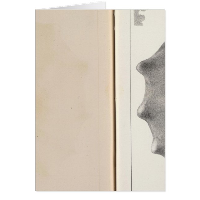 XIX Cretaceous (Front)