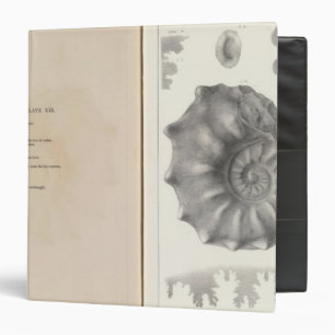 XIX Cretaceous Binder