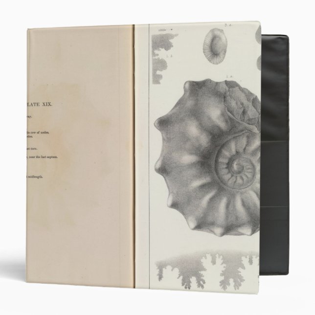 XIX Cretaceous Binder (Front/Inside)