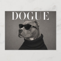 XL American Bully Luxury Fashion