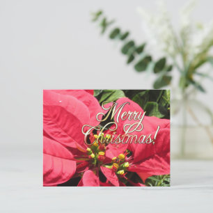 Xmas 002 Postcard