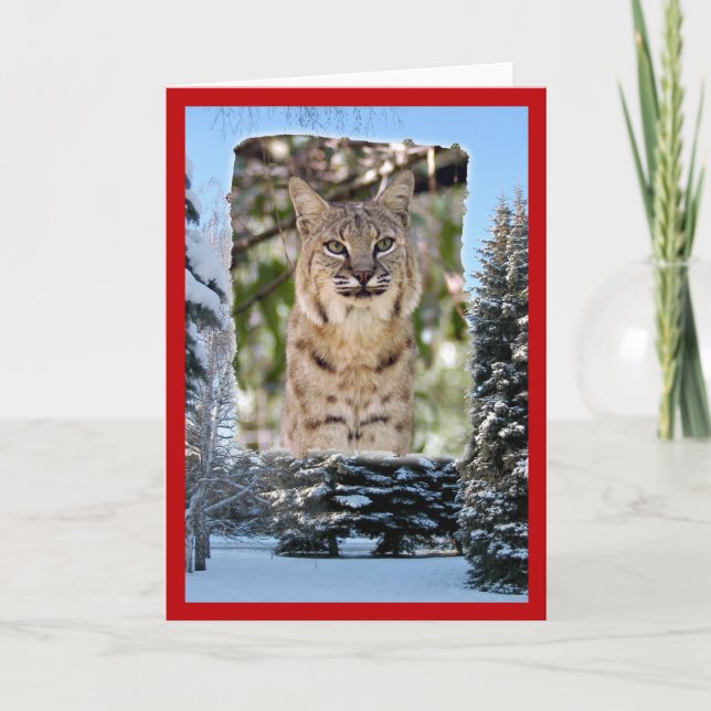 xmas-bobcat-20 holiday card (Front)