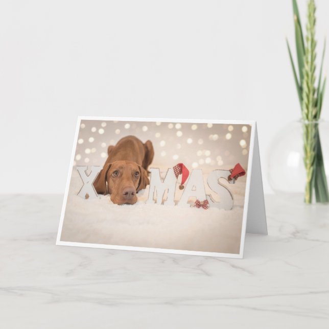 Xmas Card / Christmas Card "Magyar Vizsla" (Front)