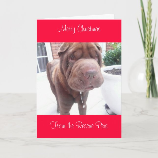 xmas card_cr, Merry ChristmasFrom Wallace Holiday Card (Front)