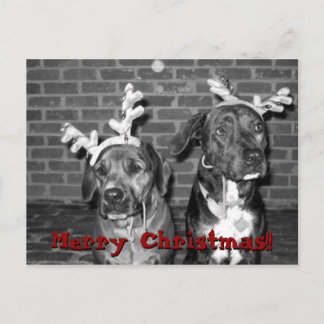 xmas card recrop recontrast, Merry Christmas!!,...