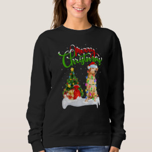 Xmas Decorations Santa Labrador Dog Christmas   Sweatshirt