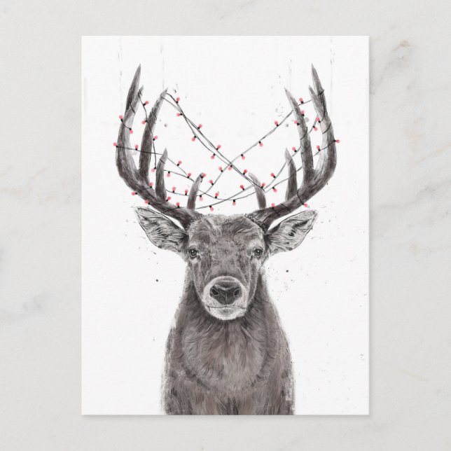 Xmas deer postcard (Front)