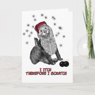 Xmas_doG Holiday Card