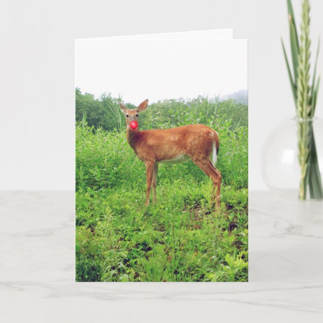 Xmas in July Holiday Card (Front)