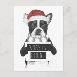 Xmas is coming holiday postcard