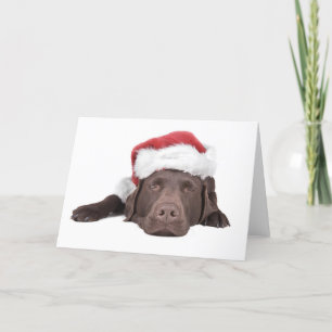 Xmas Labrador Greeting Card