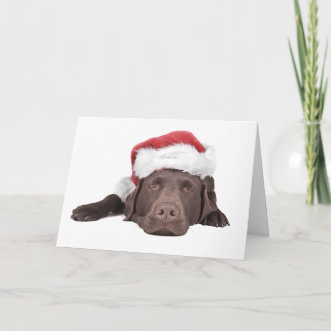 Xmas Labrador Greeting Card (Front)