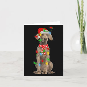 Xmas Lighting Holiday Santa Weimaraner Dog Christm Card