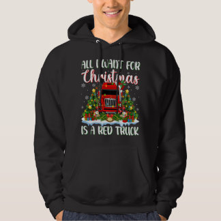 Xmas Lighting Santa All I Want For Christmas Is A  Hoodie