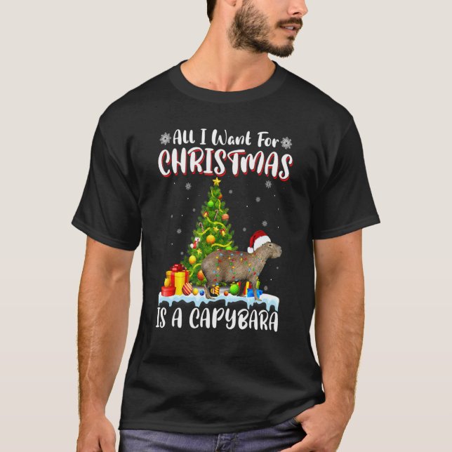 Xmas Lighting Santa All I Want For Christmas Is A  T-Shirt (Front)