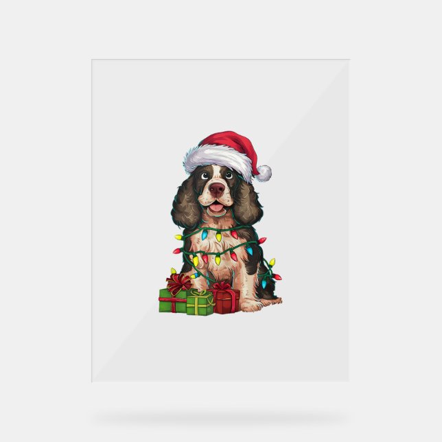 Xmas Lighting Santa Hat (Recto)