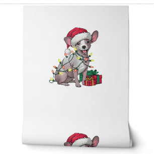 Xmas Lighting Santa Hat Mexican Hairless Dogs Chri Wallpaper