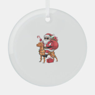 Xmas Lighting Santa Riding Vizsla Dog Christmas  Glass Ornament