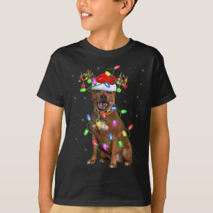 Xmas Lighting Santa Staffordshire Bull Terrier Dog T-Shirt